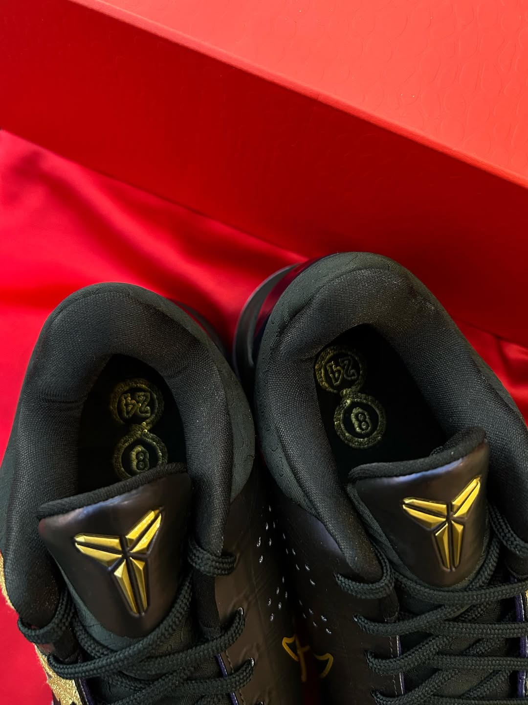 Nike Kobe 5 Protro Year Of The Mamba
