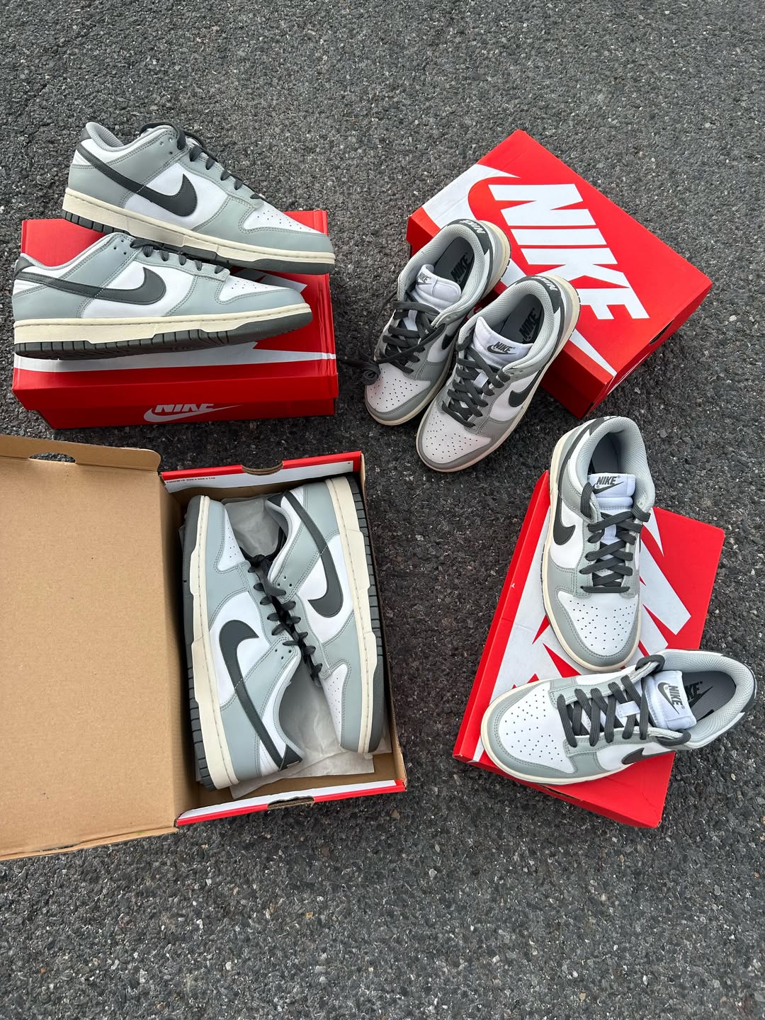 Nike Dunk Low Light Smoke Grey (Women's)