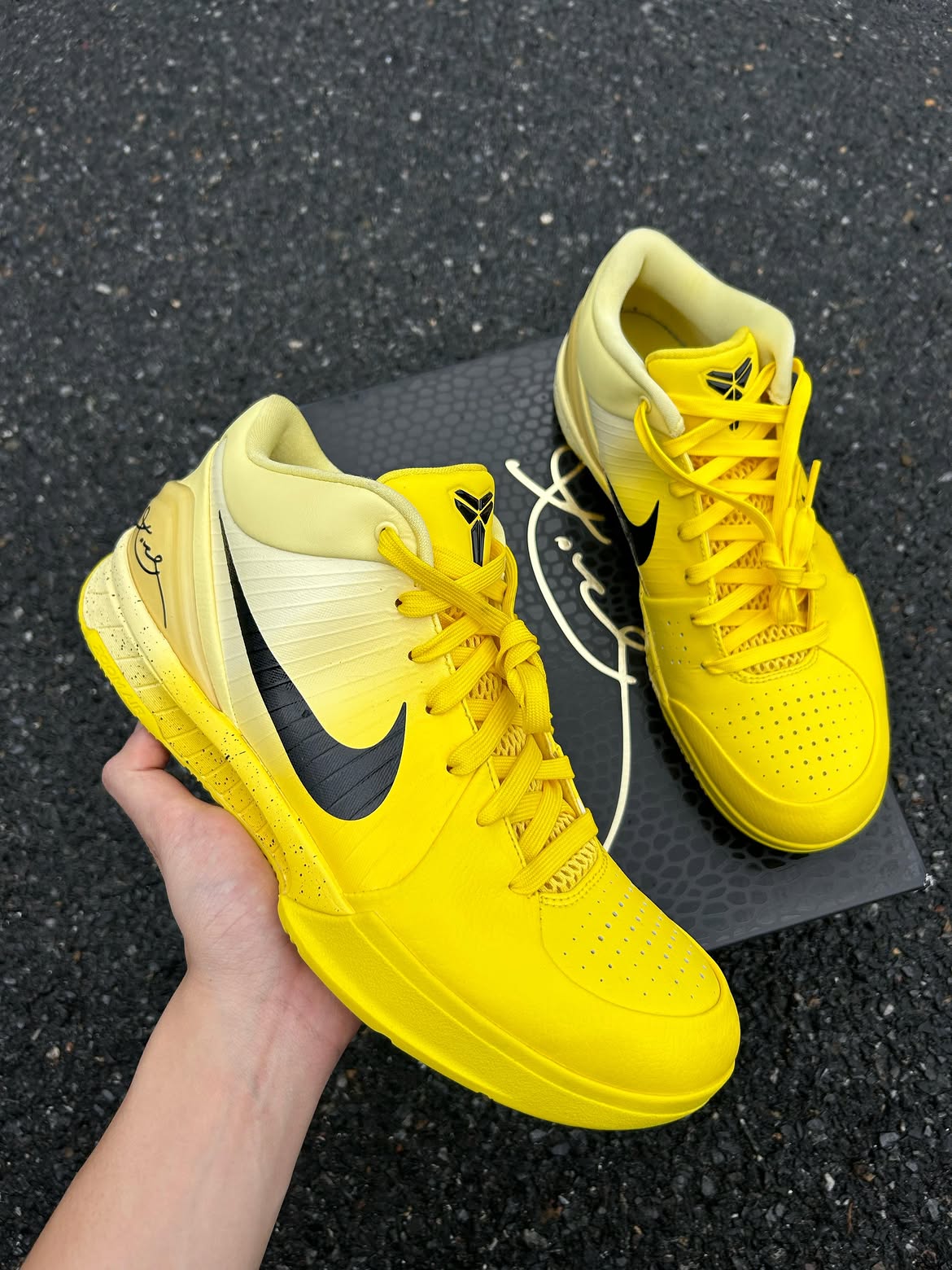 Nike Kobe 4 Protro CHBL