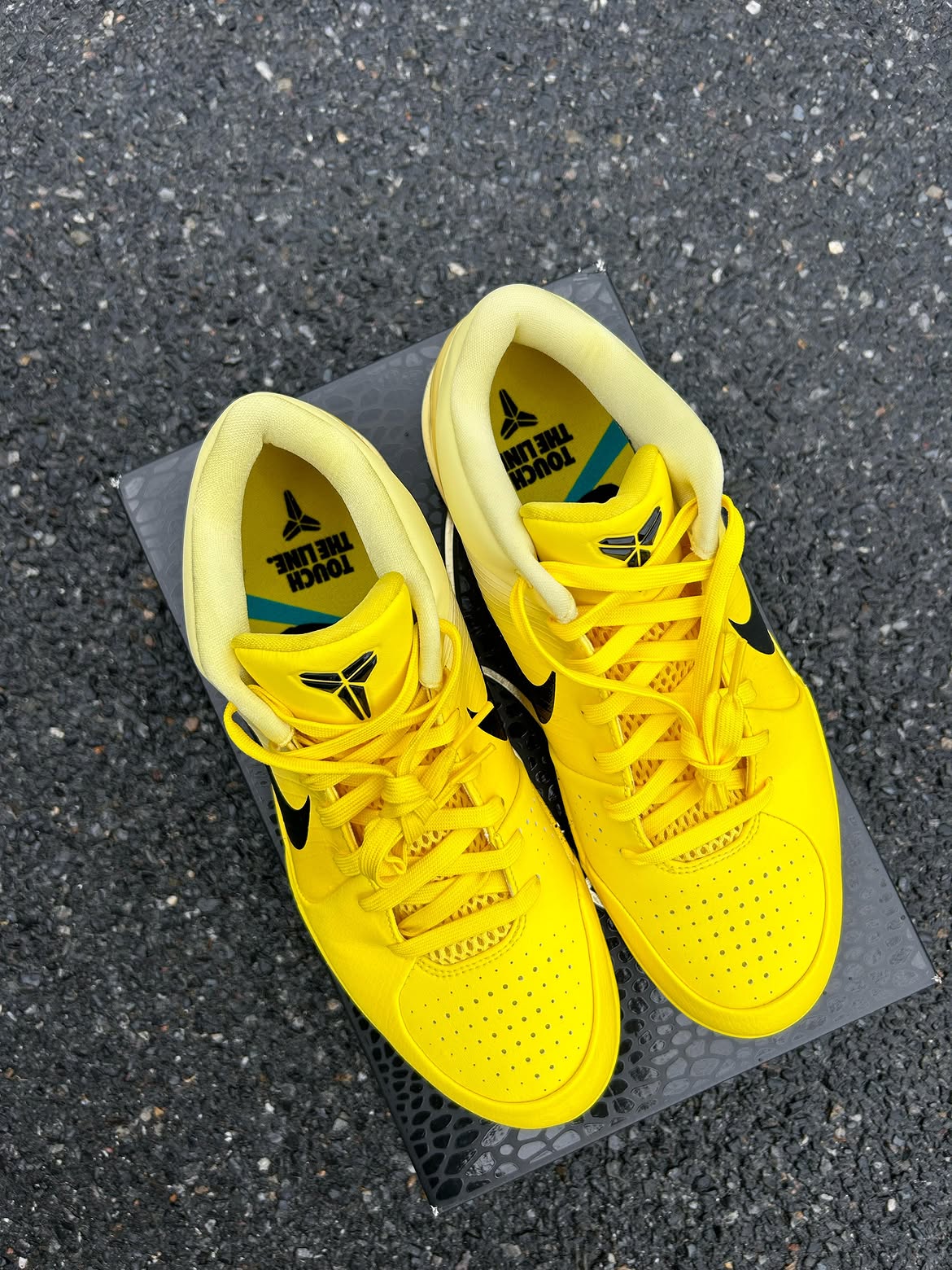 Nike Kobe 4 Protro CHBL