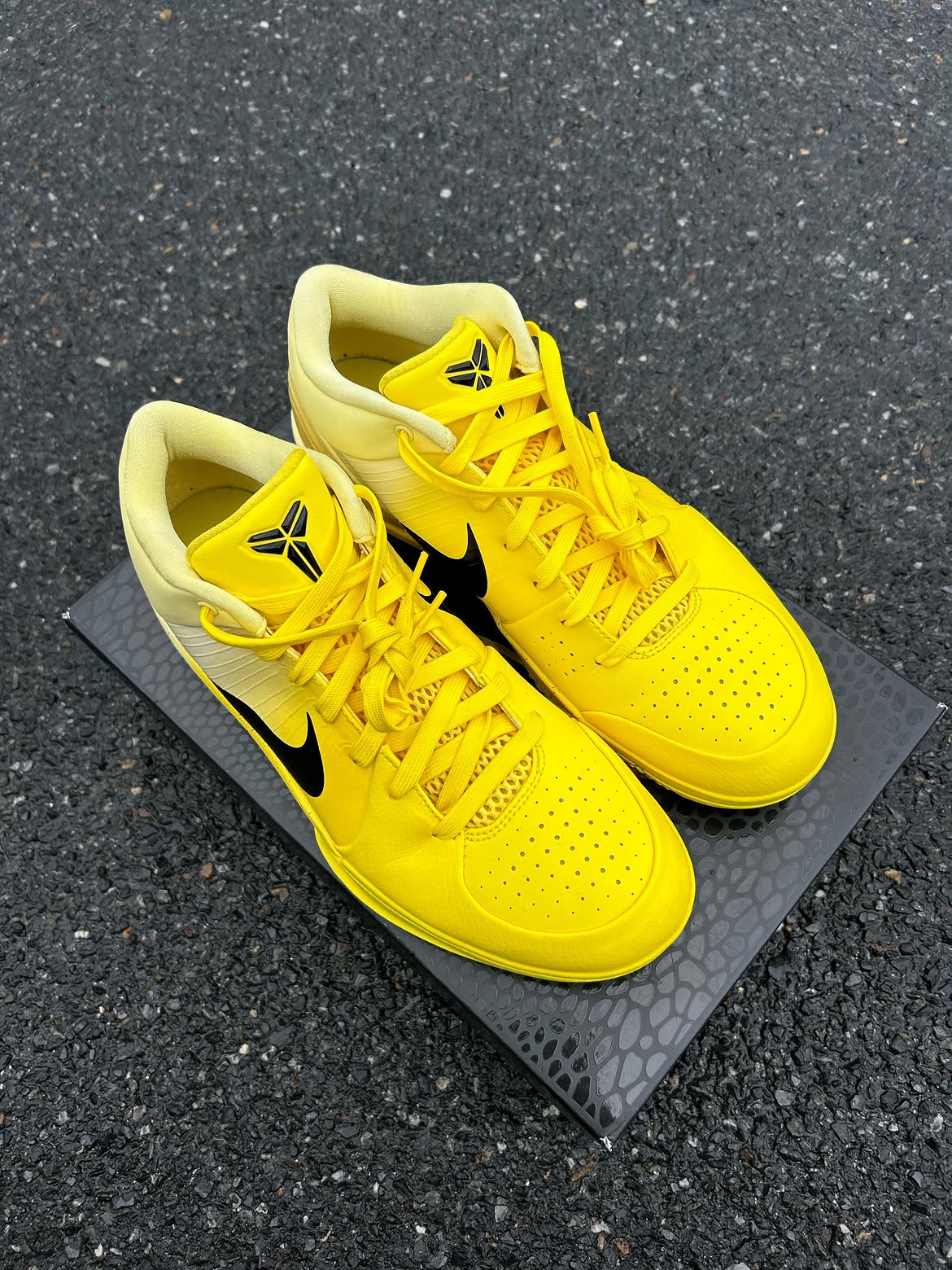 Nike Kobe 4 Protro CHBL