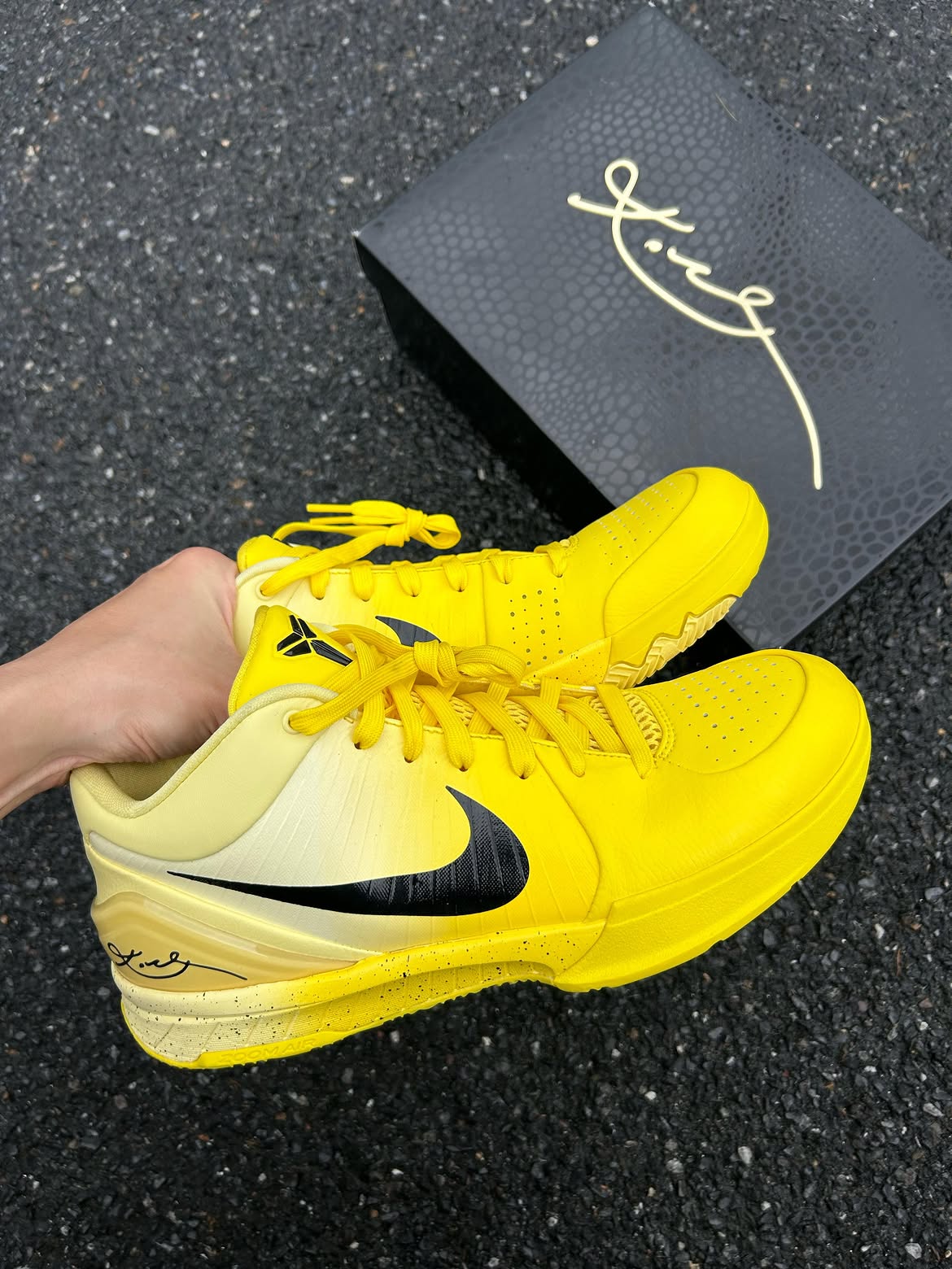 Nike Kobe 4 Protro CHBL