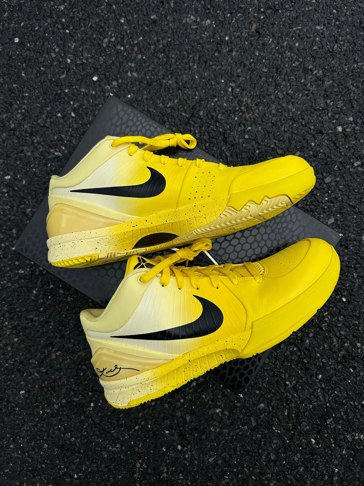 Nike Kobe 4 Protro CHBL